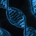 GeneticsDNA